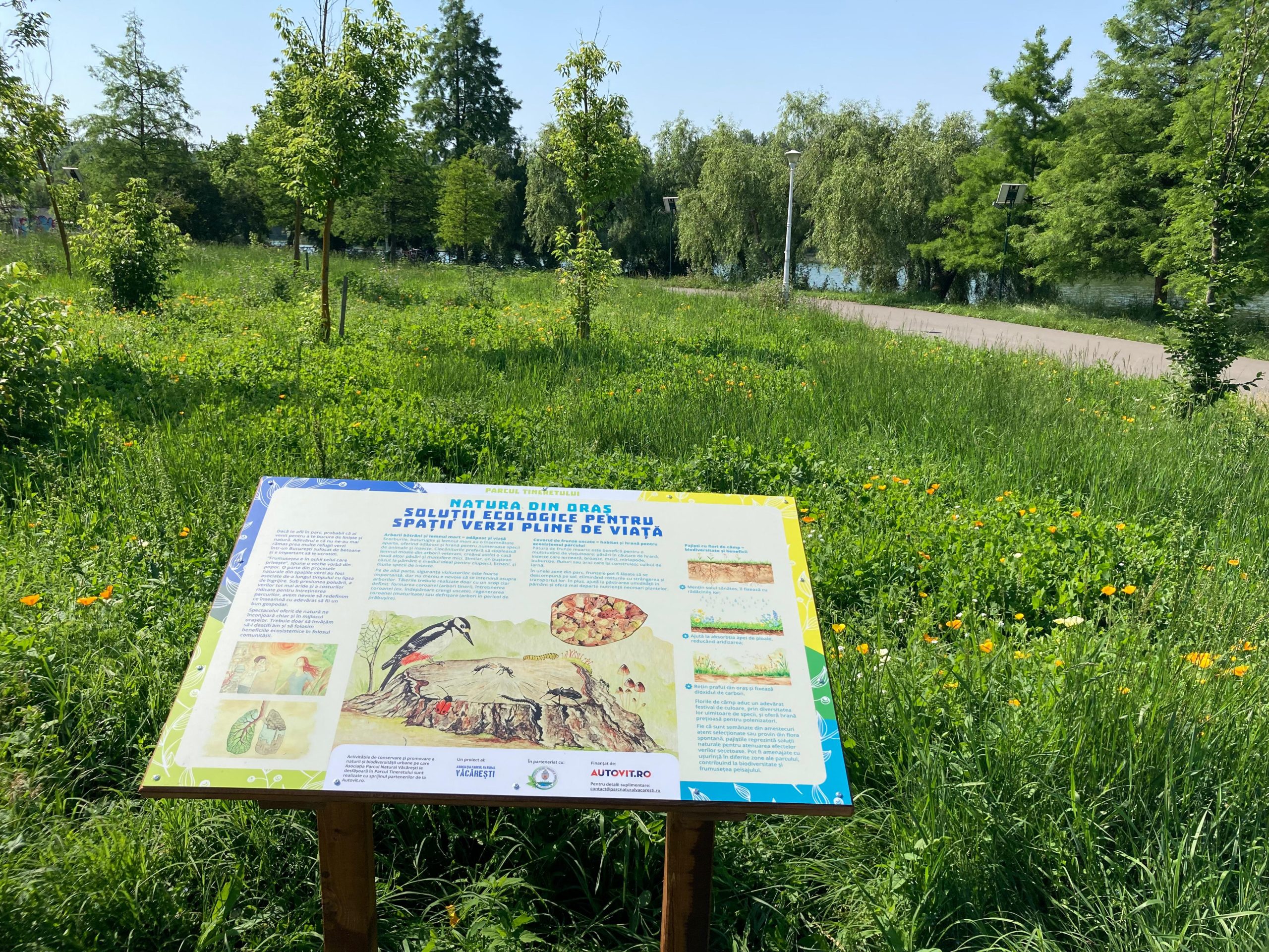 Traseu biodiversitate Tineretului 2