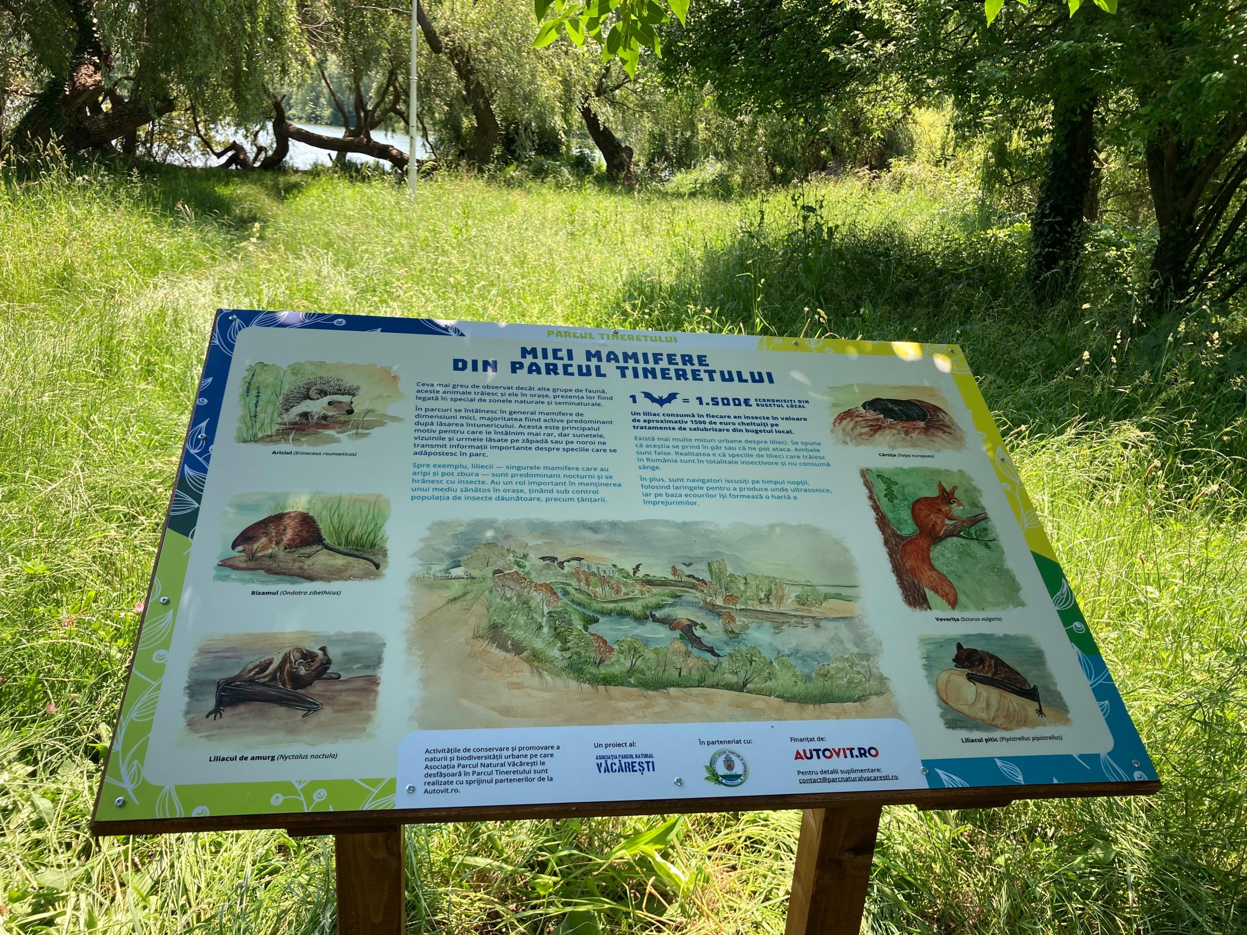 Traseu biodiversitate Tineretului 6