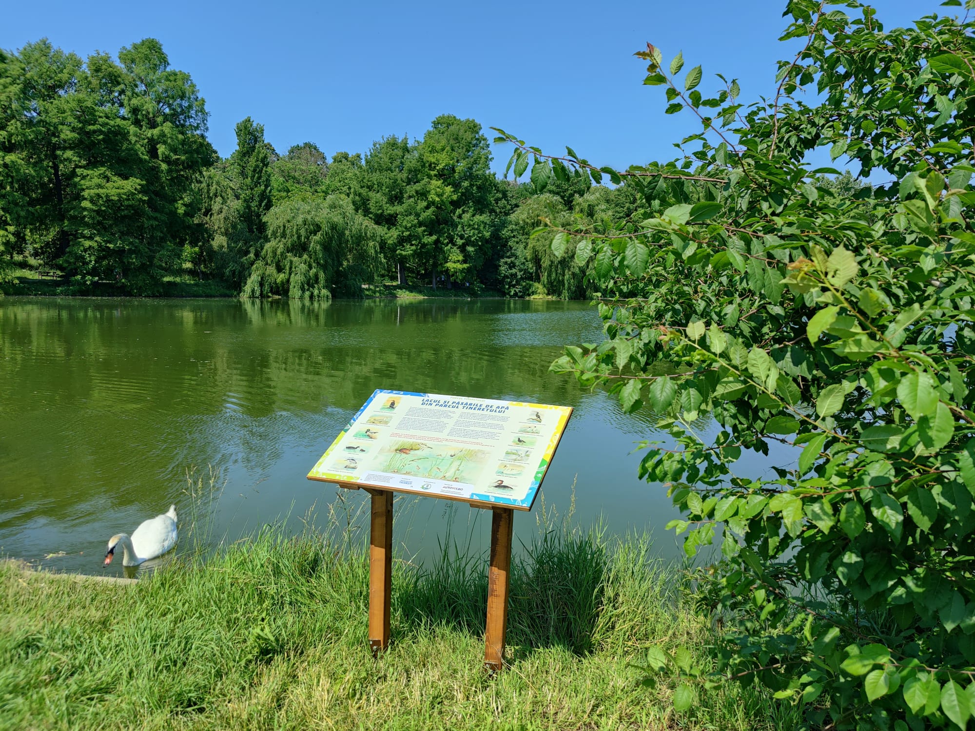 Traseu biodiversitate Tineretului
