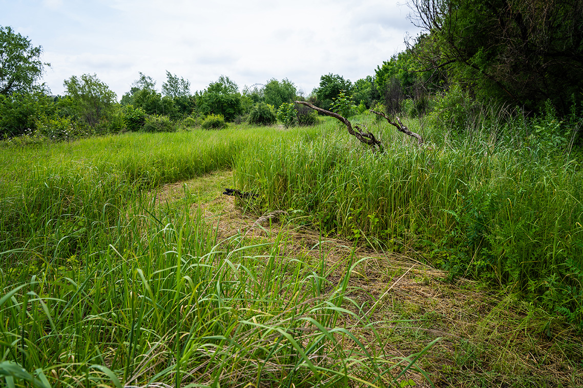 250524-DSC00124-photocredit-alexbusuioceanu small